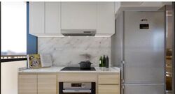 Sanctuary @ Newton (D11), Apartment #457955441